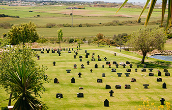 Pradera Cementerio Mancomunado Chiclana